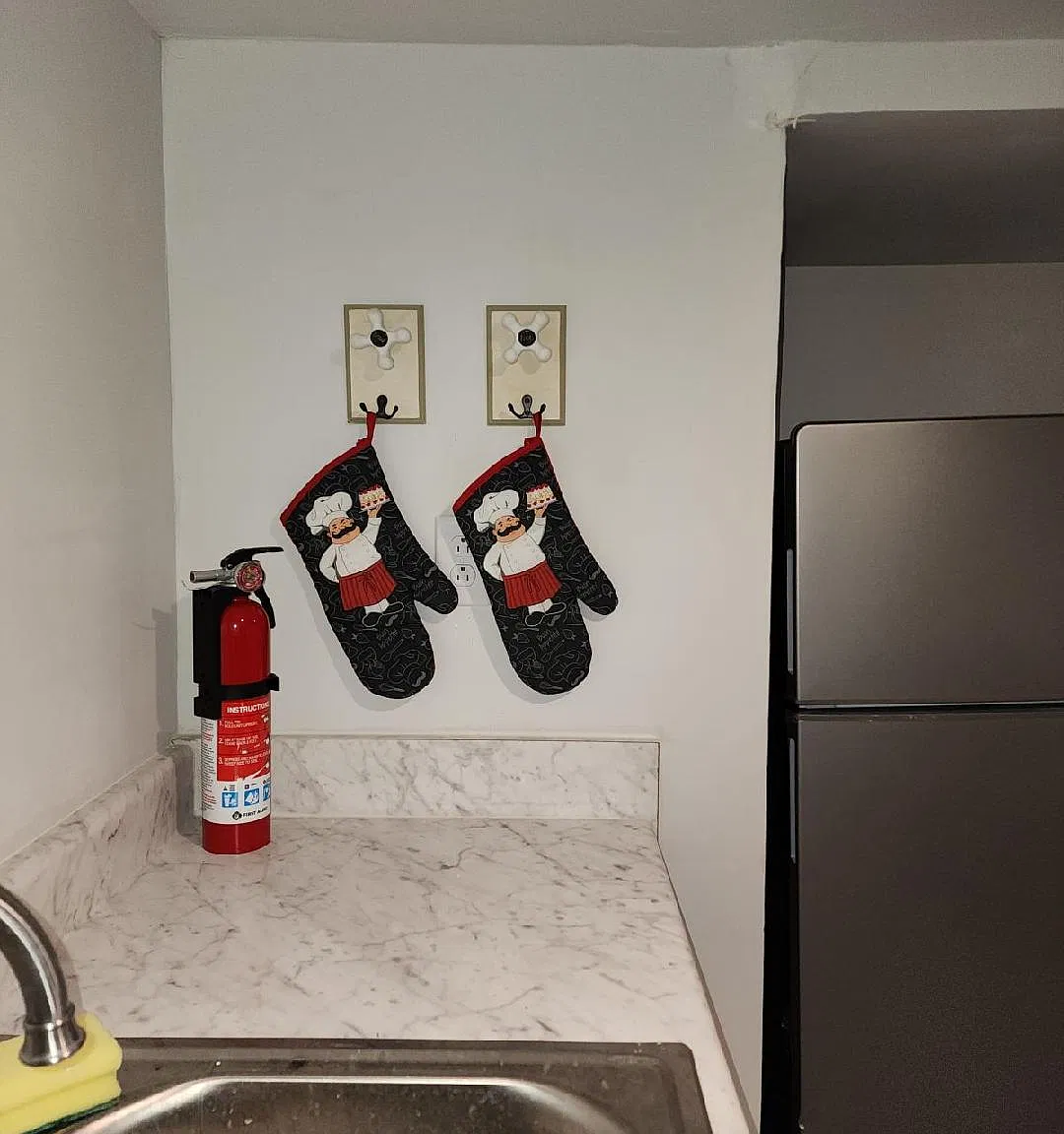 517B Hayes Ave — Photo 4