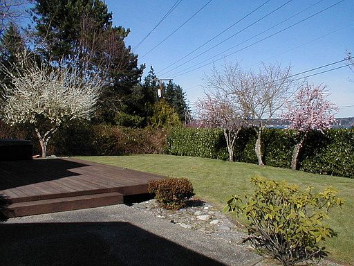 5th image of this home