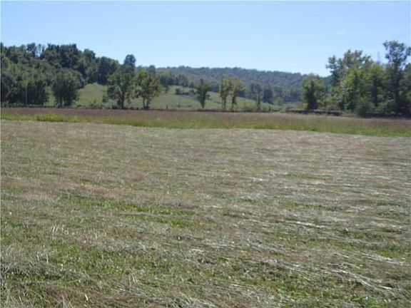 5th image of 21325 Dobbs Mountain Rd #1