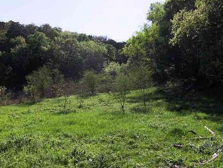 3rd image of Chimney Cove Ct Lot 39