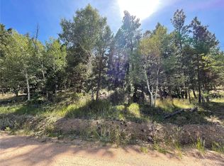 2072 Burland Dr #149, Bailey, CO 80421