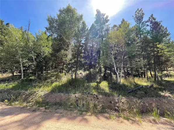 2072 Burland Drive LOT 149, Bailey, CO 80421