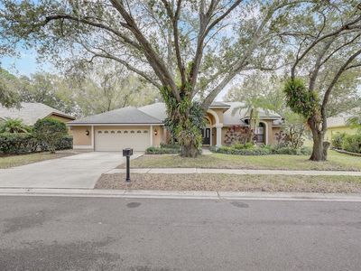 4702 Brayton Ter S, Palm Harbor, FL, 34685