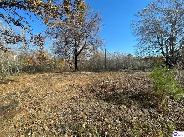 Morgantown Rd, Caneyville, KY 42721