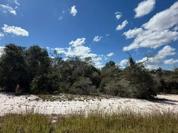 244 DARGEN DRIVE LOT 19, LAKE PLACID, FL 33852
