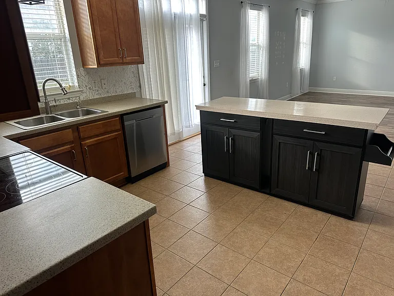 313 Scotch Pine Ln — Photo 11