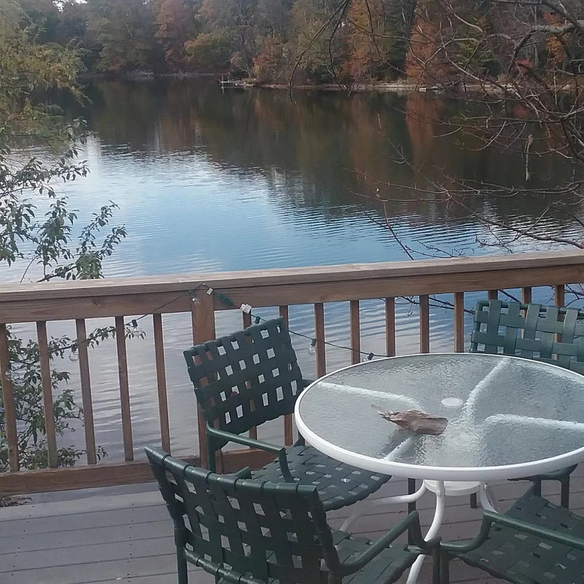 8 Crest Rd — Photo 3
