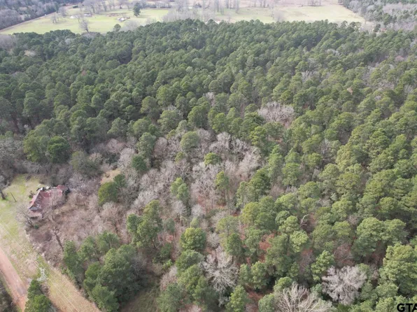 County Road 3156, Henderson, TX 75654