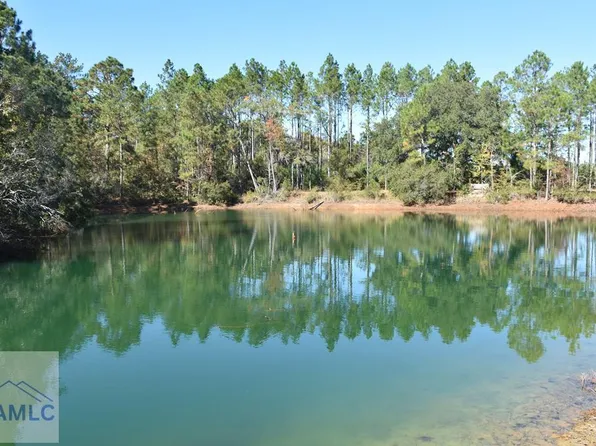 0 Barrett Cemetery Rd NE, Ludowici, GA 31316