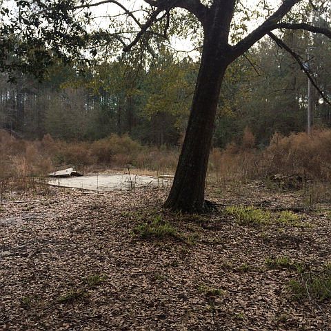 2nd image of 4169 White Tail Way