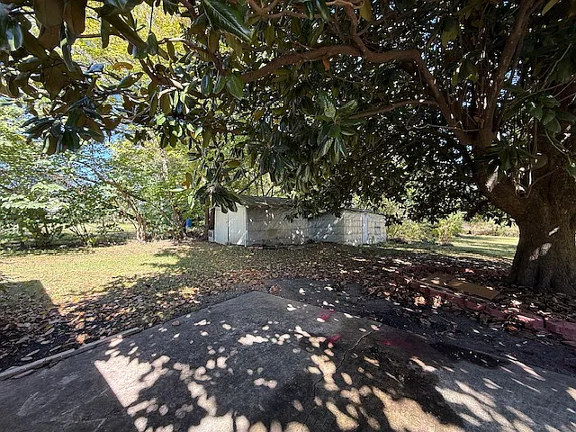 2 bed, 1223 sqft, $1,300 — Photo 3