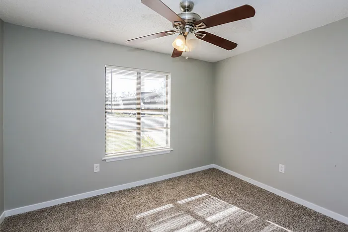 507 Twin Pine Cv — Photo 12