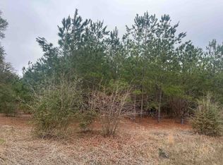 0 S Highway 38, Blenheim, SC 29516