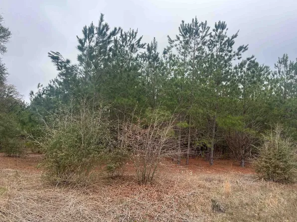 0 S Highway 38, Blenheim, SC 29516