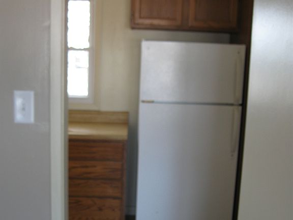 Kitchen has new fridge
