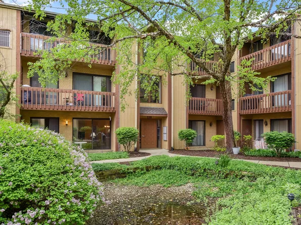 119 Olesen Dr APT 1J, Naperville, IL 60540