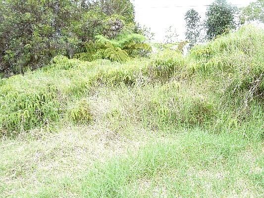 4th image of Road 9 Koloa Maoli Lot 5590