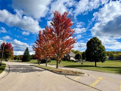 1723 Cedar Ln #20, Spring Grove, IL, 60081