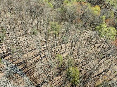 57 E Foothills Dr Lot 57, Gatlinburg, TN, 37738