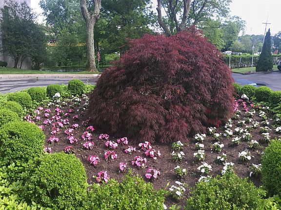 Beautifully kept grounds