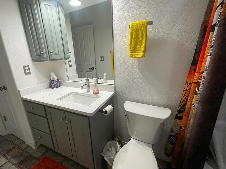 Primary bathroom