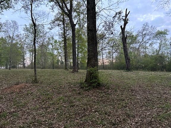 5th image of Woodland Oak Dr