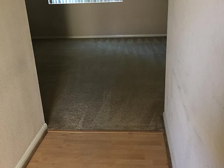 7545 Charmant Dr #1325 — Photo 10