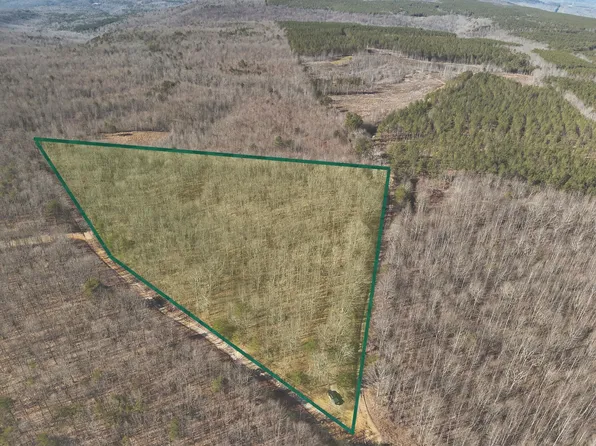 0 Palmer Firetower Rd, Palmer, TN 37365