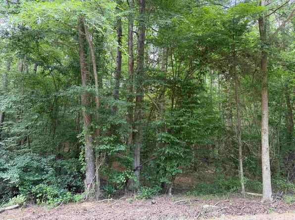 9 Rose Creek Rd, Selmer, TN 38375