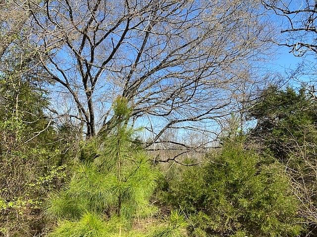 2nd image of Fortune Rd