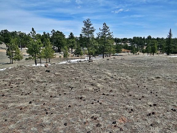 3rd image of 183 Humboldt Dr