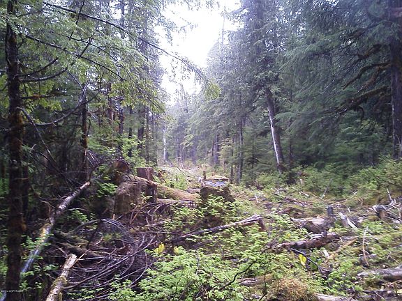 3rd image of 415 Mitkof Hwy