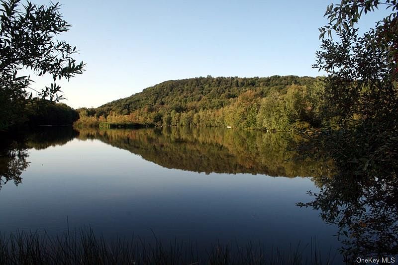 Blackberry Lake Road, Jeffersonville, NY 12748 Zillow