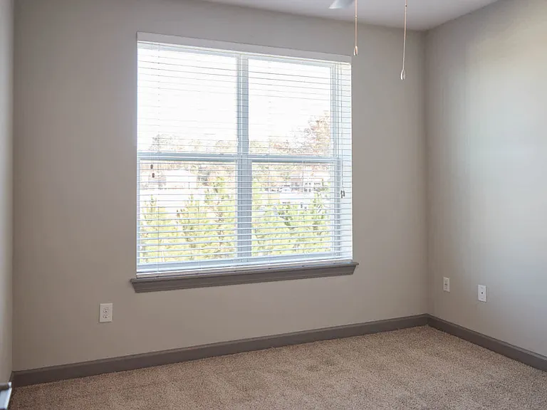 Carpeted Bedroom