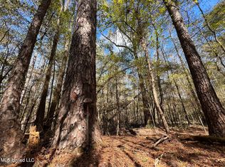 Highway 500, Lena, MS 39094