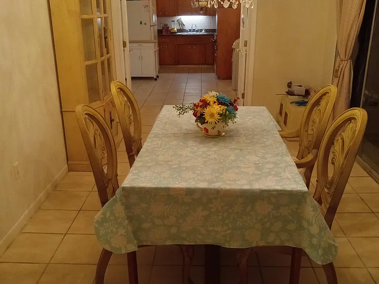 This is from the dining room, looking into the kitchen with both French doors open.