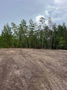 SE 8th St, Morriston, FL, 32668