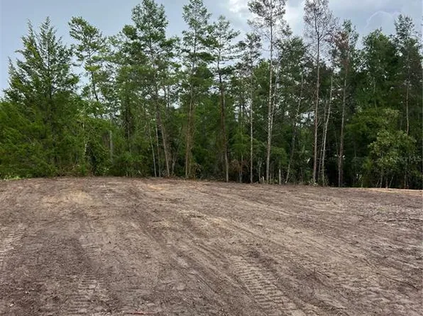 SE 8th St, Morriston, FL 32668