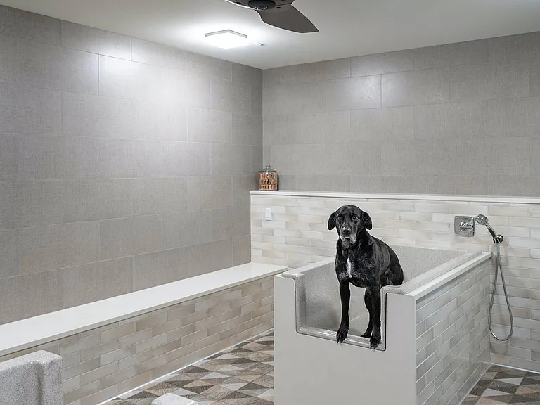 Dog Wash Station