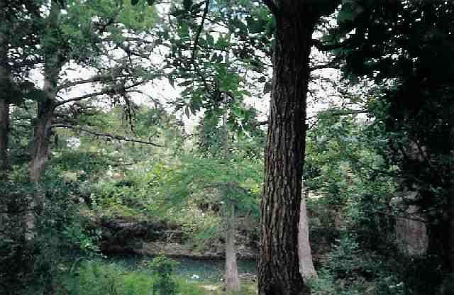1st image of 935-5 Verde Creek Dr