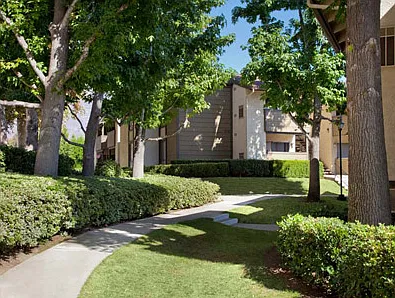 Sunscape West — Photo 17
