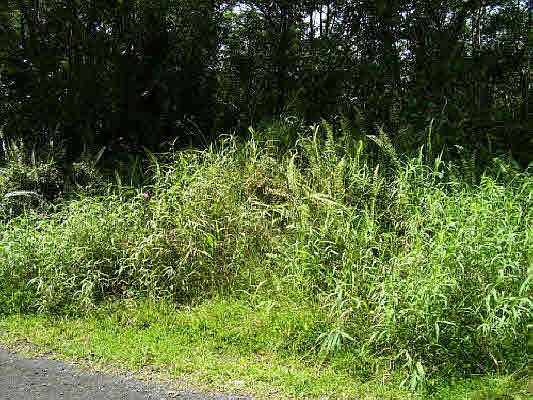 1st image of 37th Ave