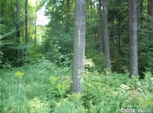 0 White Pine Pond Rd, Natural Bridge, NY 13665