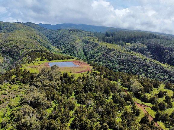 3rd image of Mauka Of Honolua Ditch