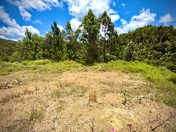 Paraiso Cercadillo Parcela 31 Finca #7487, Cayey, PR 00736