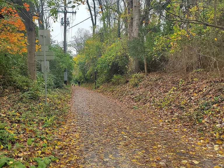 11224 Edson Park Pl #18 — Photo 34