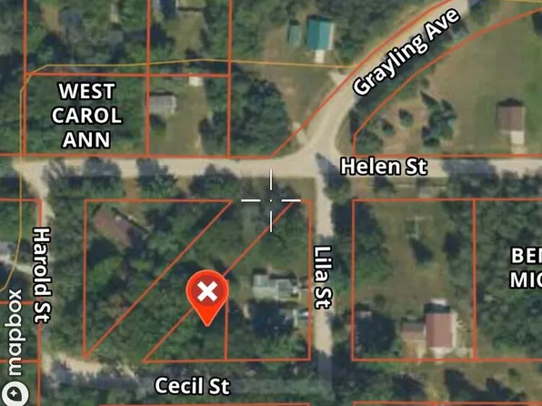 Lots 106 107 Cecil St, Lewiston, MI 49756