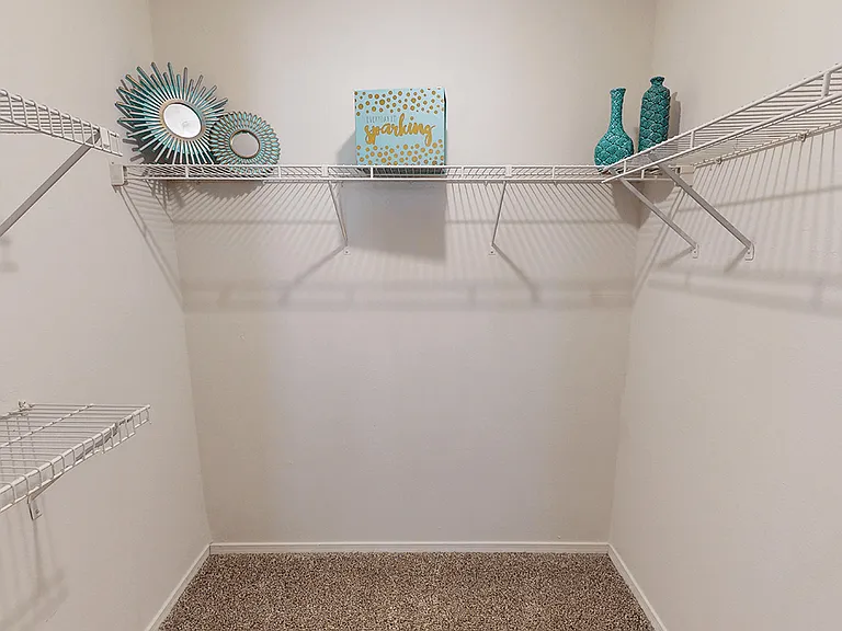 Walk-In Bedroom Closets