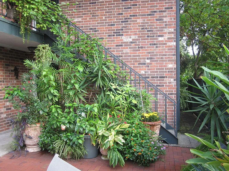 1629 Toledano St — Photo 10