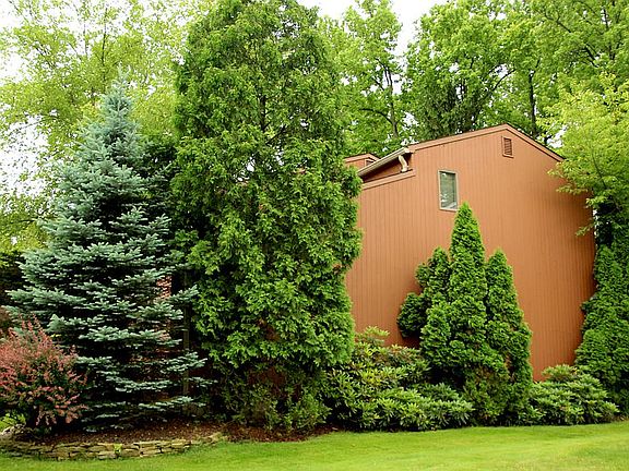 Side view, northern exposure